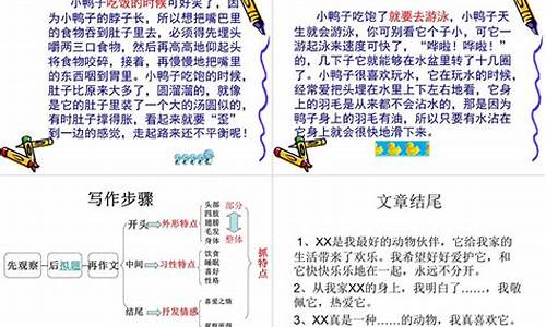 我最喜欢的小动物作文500字_我最喜欢的小动物作文500字左右