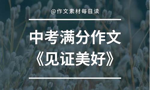 见证作文800字高中_见证作文800字高中生