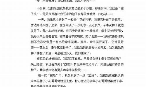 我的乐园作文350字优秀作文满是玩具的屋子_我的乐园作文,满是玩具的屋子