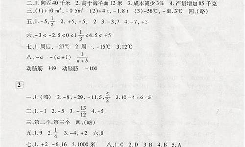 人教版寒假作业答案_人教版寒作业答案七年级