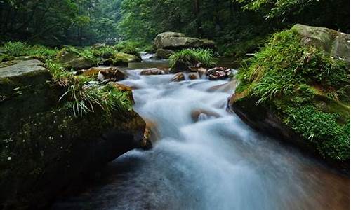 索溪谷的野_索溪峪的野读后感