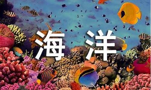 海洋天堂观后感_海洋天堂观后感500字