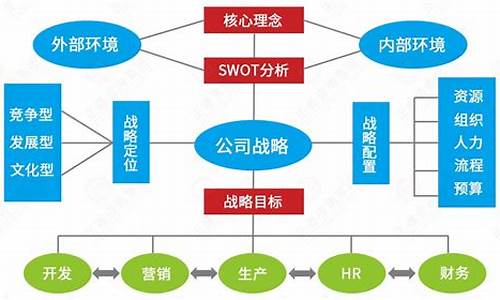 企业战略管理案例与实践_企业战略管理案例