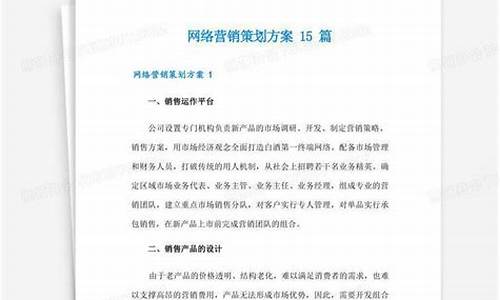 网络策划方案模板范文_网络策划方案