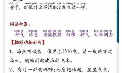 美文朗读文章_美文朗读文章推荐