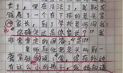 小学生写老师的作文及老师的评语