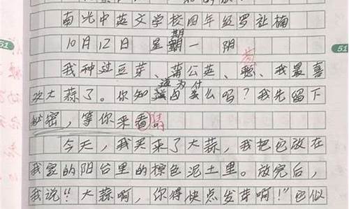 观察作文300字以上_观察作文300字以上三年级