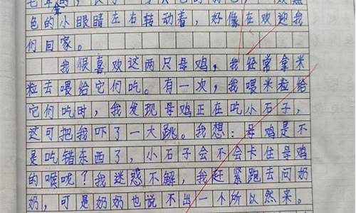 我眼中的缤纷世界作文300字_我眼中的缤纷世界写一篇作文怎么写