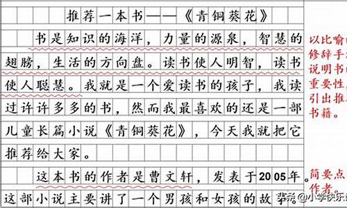 推荐一本好书作文500字5年级